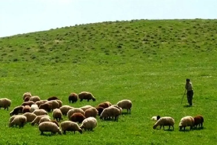 نمونه دادخواست اعتراض به رای کمیسیون بند ۴۹ دستورالعمل ممیزی مراتع