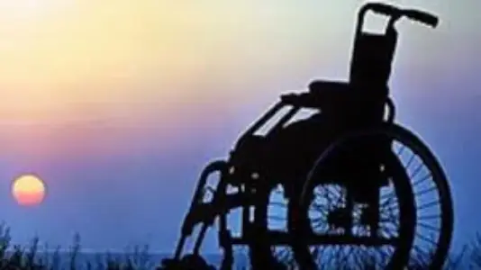 نمونه دادخواست اعاده به خدمت جانبازان فاقد مدرک لیسانس تا تکمیل ۳۰ سال خدمت